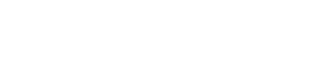 Primelyse Consulting